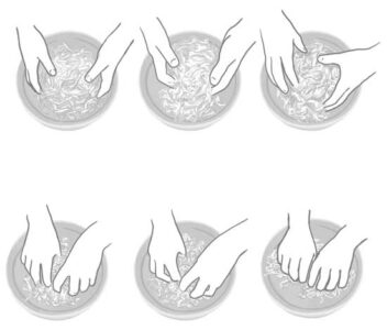 Basic Process for Dry Salting and Brining